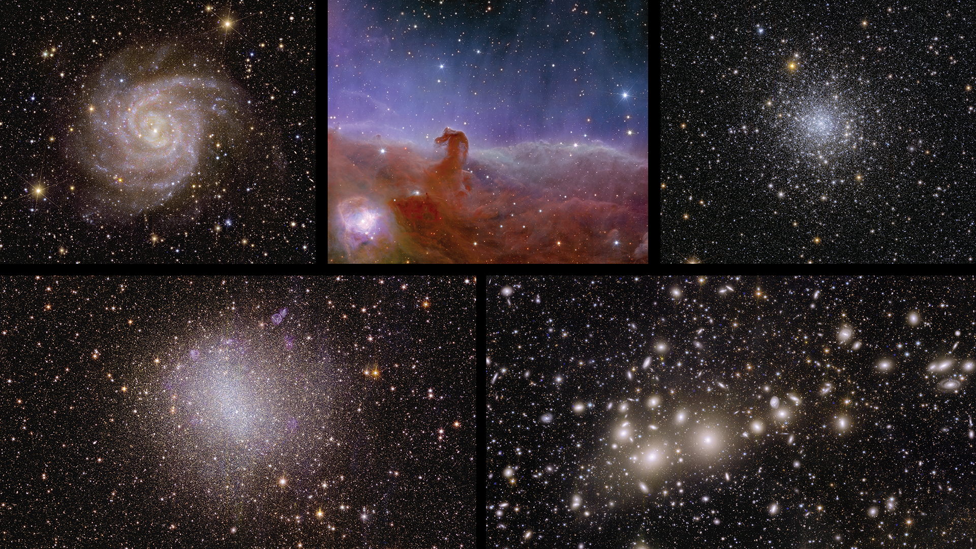 Composite of Euclid's first images. Images: ESA Euclid