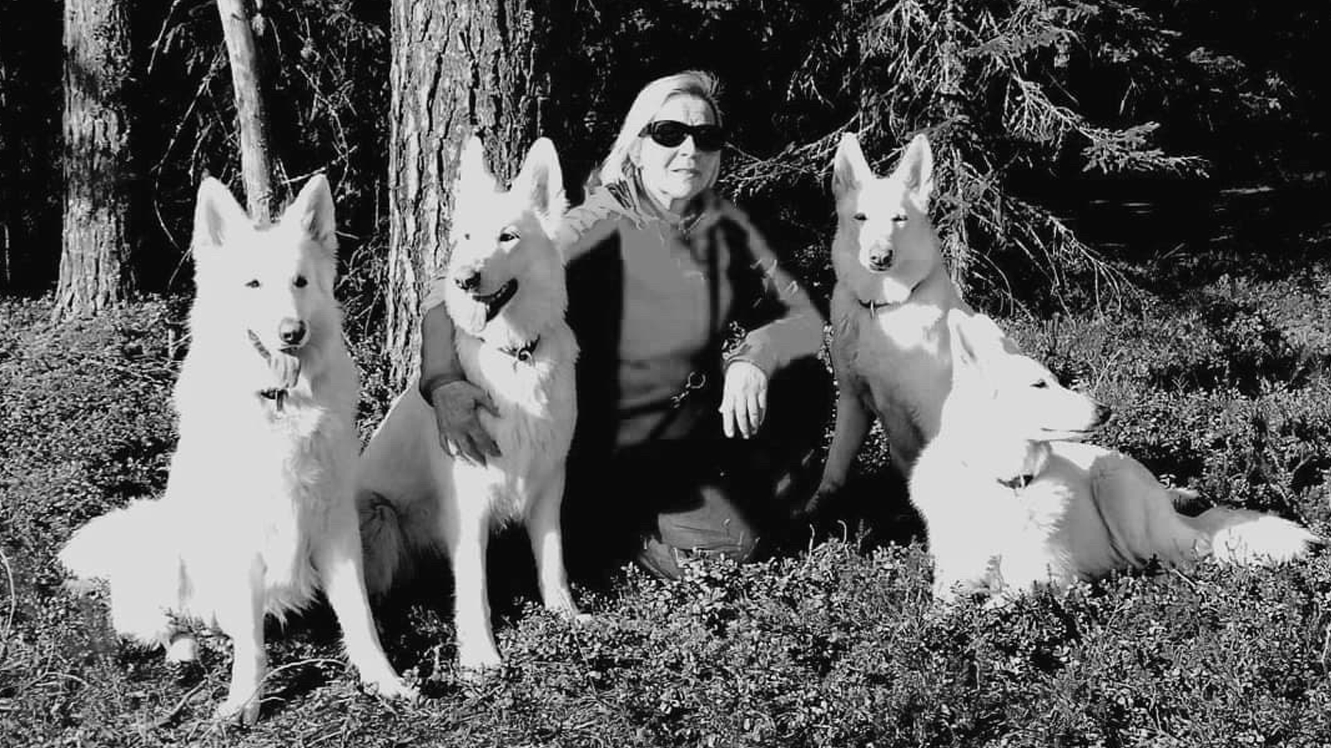 Annukka and dogs