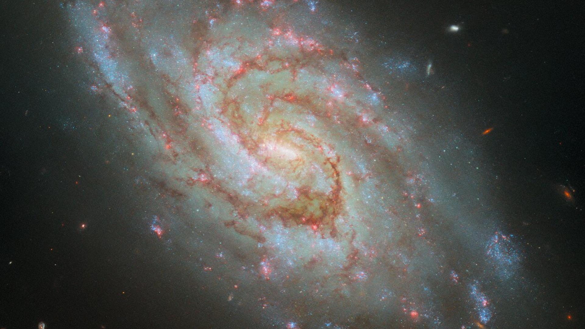 IC 1954