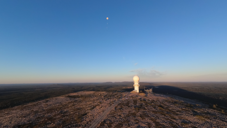 Kitsat raises towards the sky